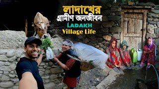 Village Life In Ladakh || লাদাখের পাহাড়ি গ্রাম ও গ্রামীন জীবনযাপন...