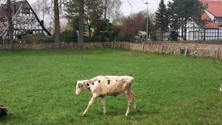 Impressionen-Bad-Essen-Heithöfen