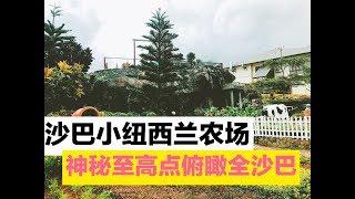 马来西亚Vlog：沙巴小纽西兰农场；神秘至高点俯瞰全沙巴（ Sabah|旅游攻略|美食美景好介绍|kundasang昆达山|desaCattleDairyFarm|神山）