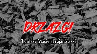 Drzazgi- Tomasz Maciej Trojanowski | Słuchowisko radiowe