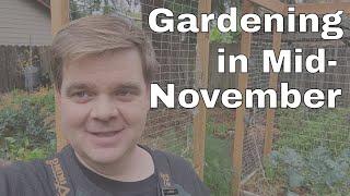 Mid November Gardening in Portland, Oregon