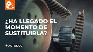 5 signos de desgaste de una correa de distribución | AUTODOC