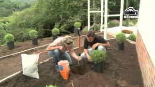 Builders DIY: Designing your Garden - Planting