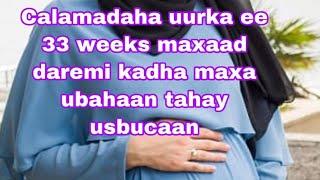 calaamadaha uurka ee 33 weeks maxaad daremaysa iyo  usbuucan maxaad ubahaan tahay