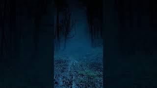 Bigfoot Research! Venture In! #bigfoot #paranormal #podcast #alaska #cryptids #alaska #washington