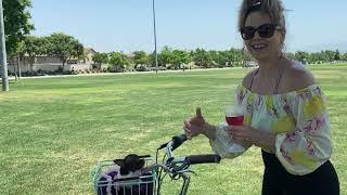 Bicycling with Margo, the tiniest Chihuahua FUN ADVENTURE! | Sweetie Pie Pets by Kelly Swift