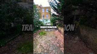 Lawn Transformation for $1,000?! Watch This! 