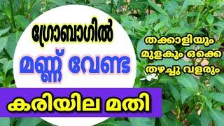 ഗ്രോബാഗിൽ മണ്ണ് വേണ്ട | കരിയില മതി | മുളകും തക്കാളിയും തഴച്ചു വളരും |Krishi Master