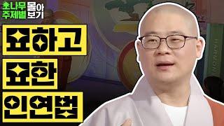 묘하고 묘한 인연법  [광우스님 소나무 주제별 몰아보기]