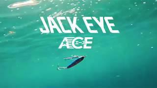 Hayabusa Jack Eye ACE: atractivo y eficiente