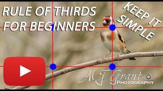 Understand the RULE OF THIRDS & greatly improve your BIRD & NATURE PHOTOGRAPHY