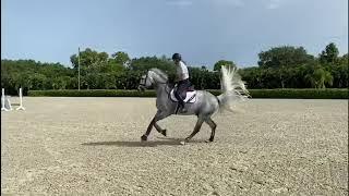 At Home with Glenbeigh Farm | Flying Changes | Show Jumping Training Tips