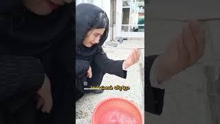 بیننده های گلم امیدکه ازی ویدیو لذت ببرین وبخندینوهمچنین حمایت کنین#funny #Video #comedy #viral