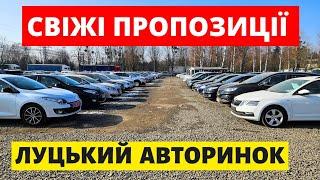 ПОПУЛЯРНІ АВТО НА ЛУЦЬКОМУ АВТОРИНКУ // 09.03.2025р. #колоритмоторс #автопідбір #автобазар