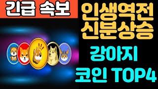 [밈코인 추천]인생역전 신분상승 할 수 있는 강아지코인 TOP4 추천