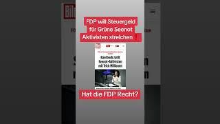 FDP will  Steuergeld für Grüne Seenot Aktivisten streichen