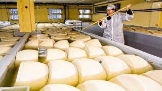 COMO se HACE el QUESO PARMESANO| El REY de los QUESOS 1000$ por RUEDA