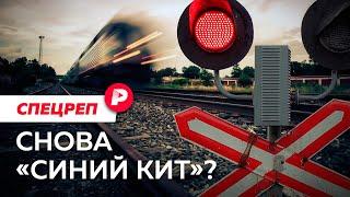 «Группа смерти» или банальность зла? Что известно о тройном суициде под Липецком / Редакция спецреп