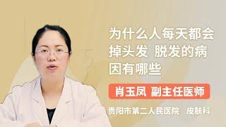 为什么人每天都会掉头发 脱发的病因有哪些 肖玉凤 贵阳市第二人民医院