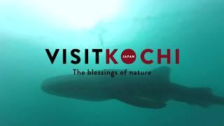 Spending Time in Nature - VISIT KOCHI JAPAN