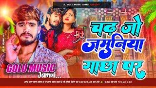 चढ़ जो जमुनिया गाछा पर | Aashish Yadav | Dj Song | Chadh jo jamuniya gachha par | #Dj_Golu_Music