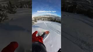 Steady mobbing #snowboarding #colorado #powderday #viralvideo