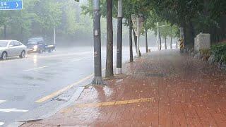 Just Walked When Rain Bomb Hit My Town. Sound for Sleep & Relaxation.