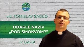 Odakle naziv „Pod smokvom?”