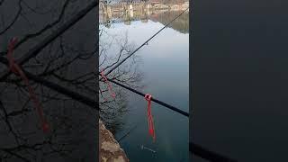 catfish  river fishing west Virginia zack Honeycutt