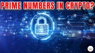 How Are Prime Numbers Used In Cryptography?