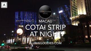 Cotai Strip at Night, Macau | Allthegoodies.com