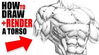 How to Draw and Render a Male Torso