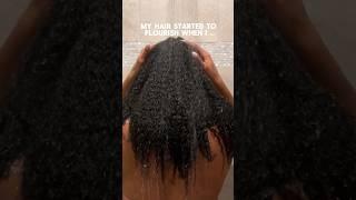 Tips to Growing Healthy Longer Natural Hair | HOW TO Healthy Hair #naturalhairjourney