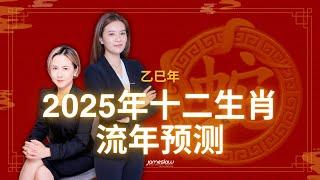 2025年(乙巳年)十二生肖流年预测 | #十二生肖 #流年预测 #命理 #流年預測