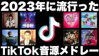 【TikTok】全部歌えたら依存性！？2023年に流行ったTikTok音源メドレー！【最後には・・・】