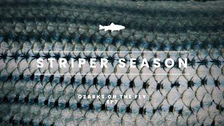 Ozarks on the Fly | EP 7 | STRIPER SEASON