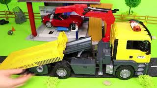 Big Collection of Toy Vehicles