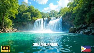 Beautiful Relaxing Piano - Cebu Philippines Waterfall - Waterfall Gentle Stream Sound in forest