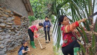 Mia went to look for leaves to roof the house. Hieu came home from school to take care of Tiet Quy.