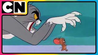 Tom’s Wild Trap Showdown!  | #TomandJerry | Compilation | Cat & Mouse | Funny Cartoon | @cnindia