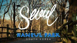 A scenic hike through Seoul Haneul Park - South Korea