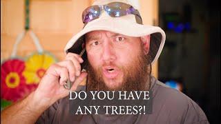 Looking for Trees? Our Operators Are Standing By!