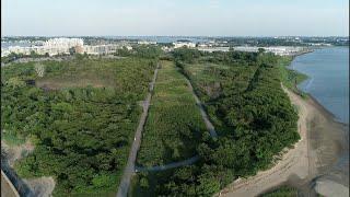 Tales from the Airfield: Squantum Point Park, Quincy, MA