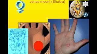 Mount of Venus  Sexuality   Palm reading