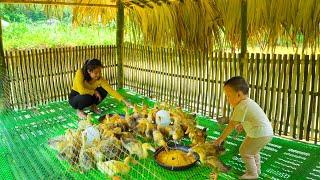 Completing the bamboo hut for raising ducks, raising a flock of duckling - THANH HIEN Building Life