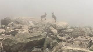 VISITE AL RIFUGIO BOZANO Medio