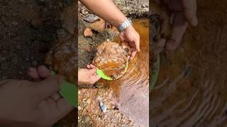 Wow.., Shocked the world ‼️Amazing gold discovery in the scary river. #goldprospecting #goldrush