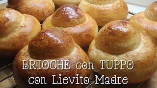 BRIOCHE con TUPPO con Lievito Madre