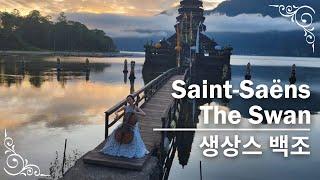 Saint-Saëns - The Swan | Cellist Hee-Young Lim 생상스 백조 | 첼리스트 임희영