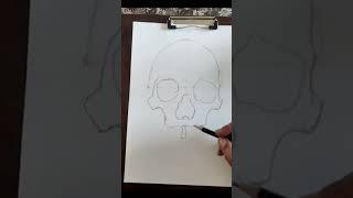 skull part 1 follow for next part#shortsfeed #shortsyoutube #sketchingtips #sketch